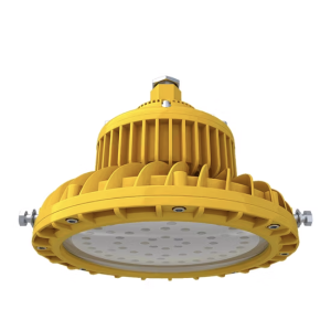 Đèn led công nghiệp chống nổ 100W DCN1001 Duhal